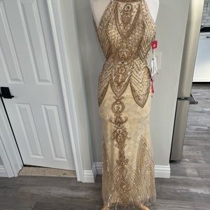 Beautiful champagne and gold dress